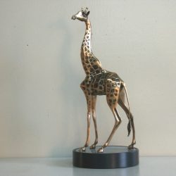 BullGiraffe